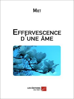 cover image of Effervescence d'une âme
